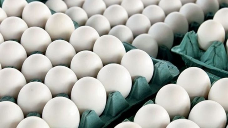 بیش از ۱۳ هزار تن تخم مرغ به کشورهای همسایه صادر شد
