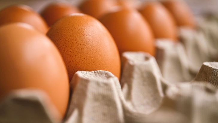 کاهش شدید قیمت تخم‌مرغ در کاشان