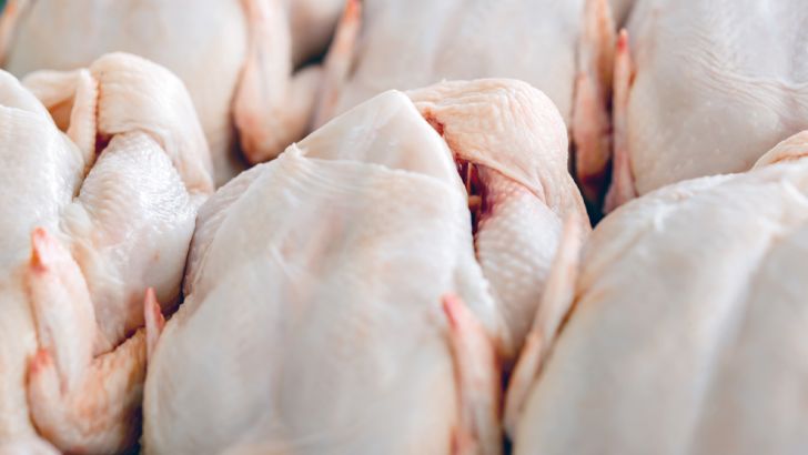 پتانسیل صادرات ۲۰۰ هزار تن مرغ تا پایان سال وجود دارد