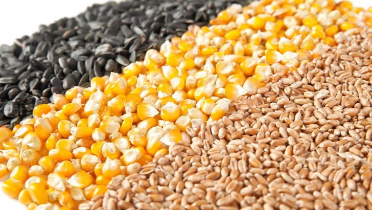 نهاده مدت‌دار در اختیار دامداران و مرغداران قرار می‌گیرد