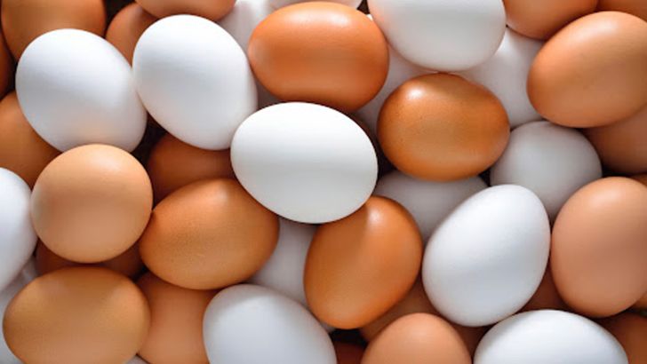 صادرات ۲۰ هزار تن  تخم مرغ در فروردین امسال