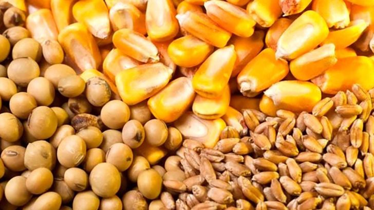 وابستگی به واردات نهاده‌های دامی با جایگزینی علوفه کم آب کاهش می‌یابد