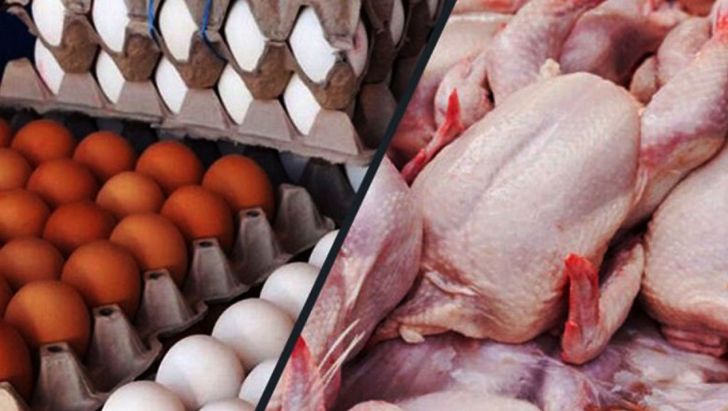 توقف صادرات مرغ و تخم مرغ ایران به عراق با ممنوعیت فصلی