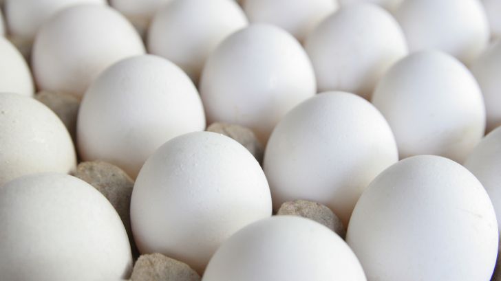 محدودیتی در خرید حمایتی تخم مرغ مازاد مرغداران وجود ندارد