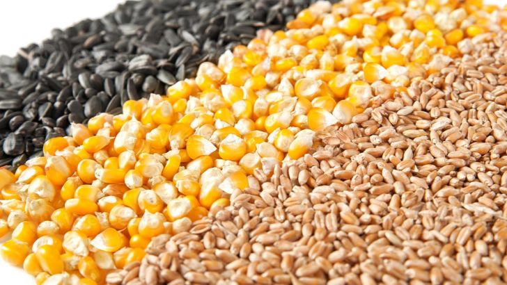 توزیع ۳۰۰ هزار تن نهاده دامی در مناطق عشایری برای اجرای تولید قراردادی