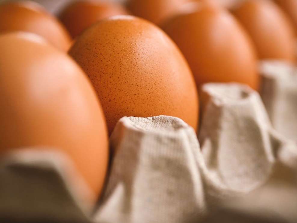 محدودیت‌های صادرات تخم مرغ به عمان رفع شد