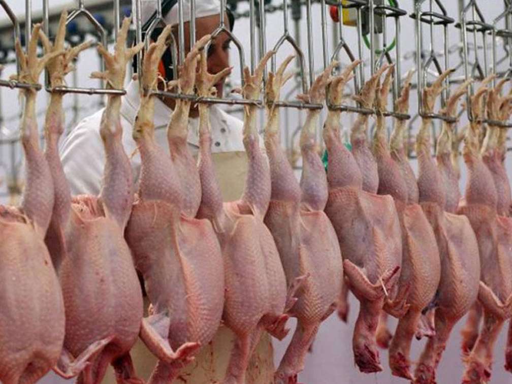  مذاکره با روسیه برای توسعه صادرات