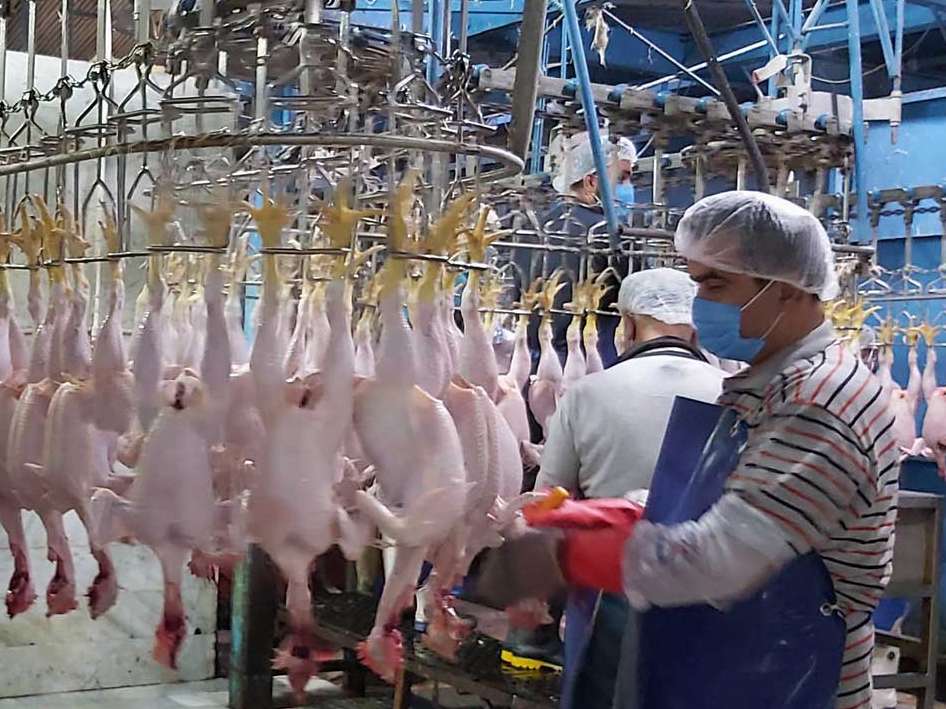 تهدید تعطیلی کشتارگاه های گلستان در سایه بی توجهی