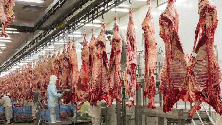 نگاه وزارت جهاد کشاورزی به واردات گوشت