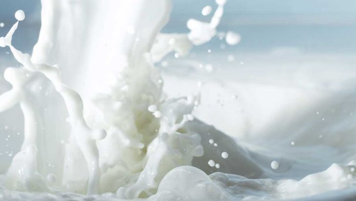 افزایش قیمت شیر خام تا 1700 تومان