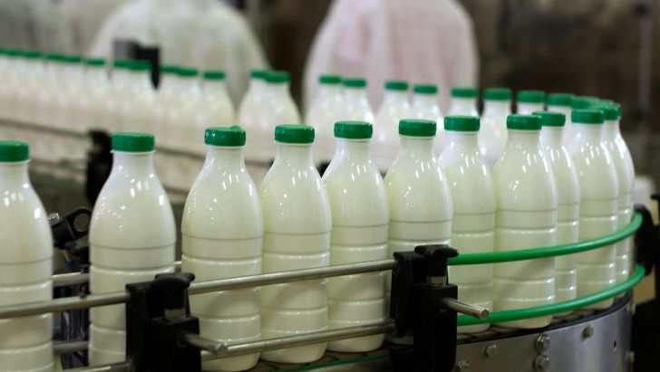 عدم منفعت دامداران از افزایش قیمت شیر