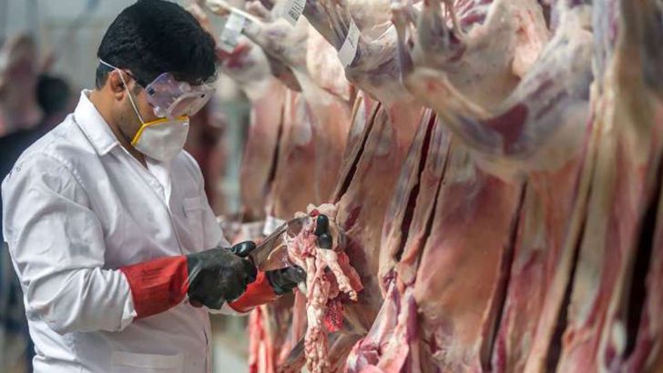 توزیع روزانه 120 تن گوشت قرمز وارداتی