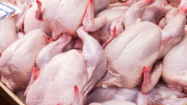 کاهش حاشیه سود تولید گوشت مرغ