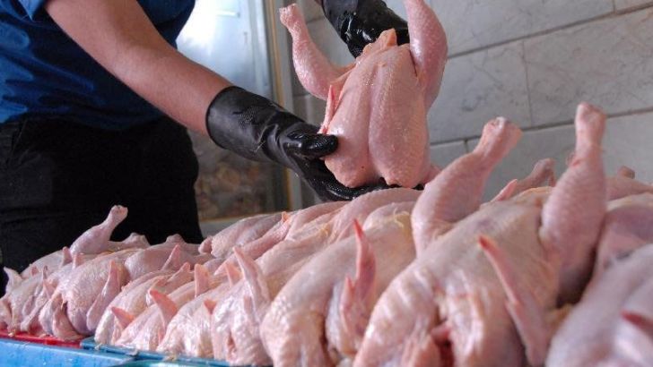 تولید شدن 14هزار و 400 تن گوشت مرغ در استان مرکزی