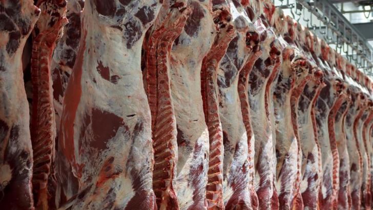 افزایش صادرات وقاچاق گوشت با گرانی ارز