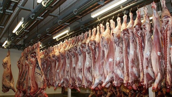4 برابر شدن واردات گوشت روسی به ایران