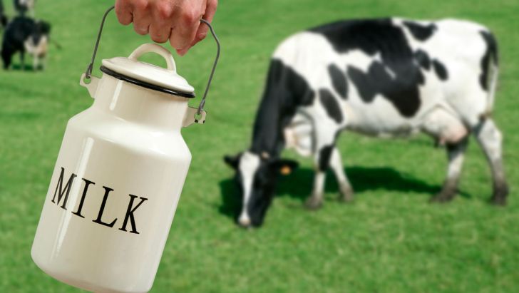 افزایش قیمت شیر و فرآورده‌های دامی قانونی است