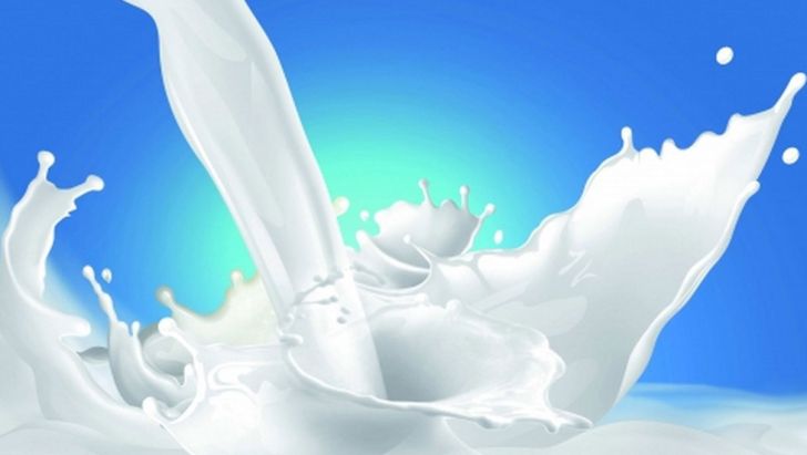نارضایتی دامداران ازمیزان  افزایش قیمت شیر خام