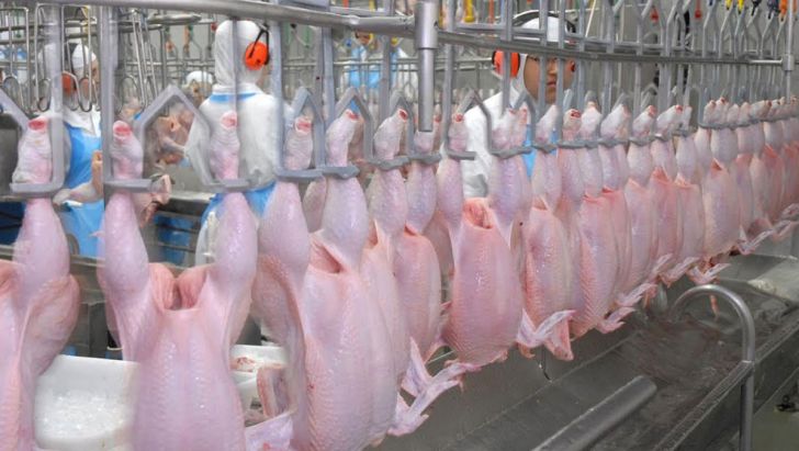 کاهش قیمت مرغ با پرداخت یارانه به تولید کننده گان