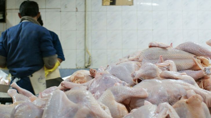نزدیک شدن قیمت مرغ به نرخ واقعی