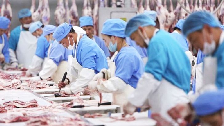 مغولستان به دنبال صادرات گوشت به ایران است