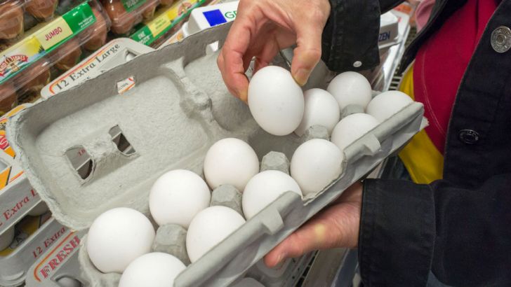 ۳ ضلع افزایش قیمت تخم‌مرغ