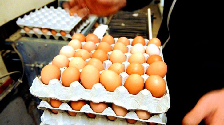نایاب شدن کارتن و شانه تخم مرغ در بازار