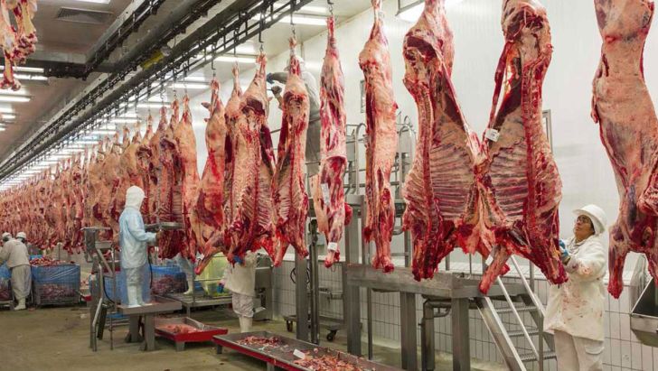 واردات بی‌رویه عامل اصلی افزایش قیمت گوشت قرمز
