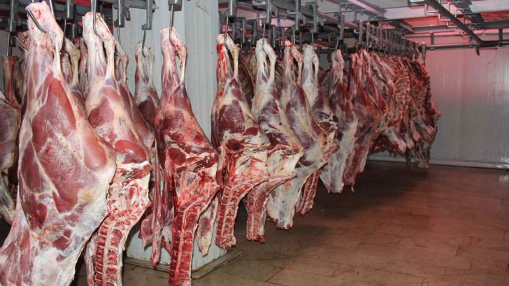 واردات بی‌رویه گوشت قرمز عامل اصلی گرانی