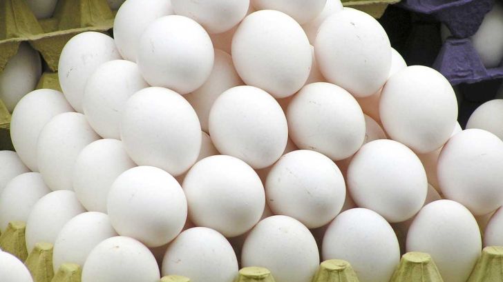 ثبت سفارش ۲۰۰۰ تن تخم مرغ برای تنظیم بازار