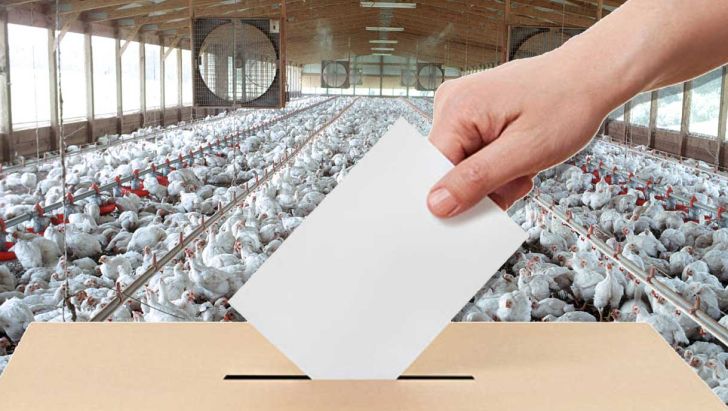 اعلام نتایج انتخابات هئیت مدیره اتحادیه سراسری مرغداران گوشتی