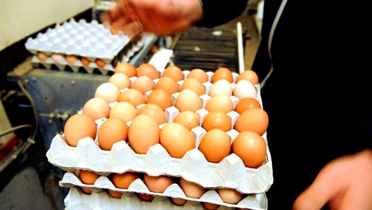 احتمال افزایش قیمت تخم مرغ