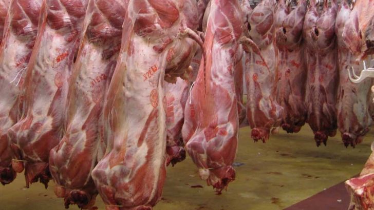 محموله گوشت وارداتی در گمرک متوقف شده است