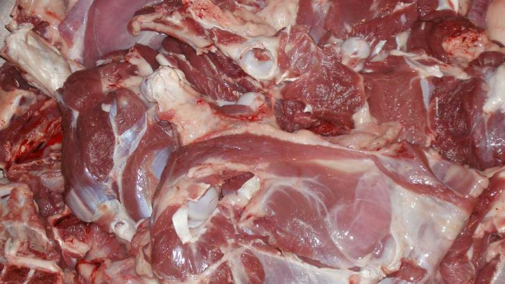 عرضه گوشت دام پیر به جای گوشت برزیلی واقعیت ندارد 