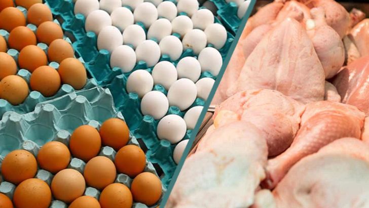  ایران در تولید مرغ و تخم مرغ رتبه هفتم جهان را دارد