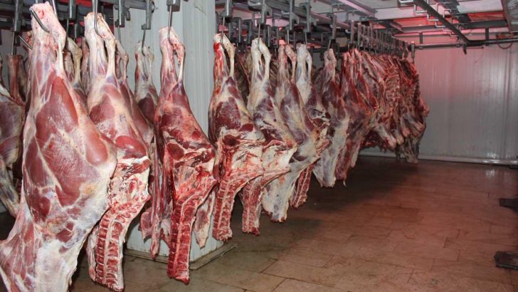  ۳۵۰ تن گوشت منجد وارد بازار می‌شود