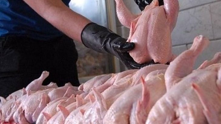 ادامه روند افزایشی قیمت مرغ طی هفته آینده
