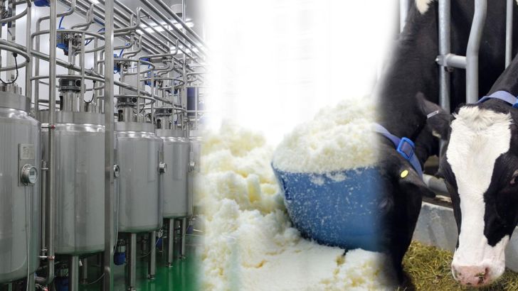 کشمکش دامداران و کارخانه‌های لبنی بر سر واردات شیرخشک