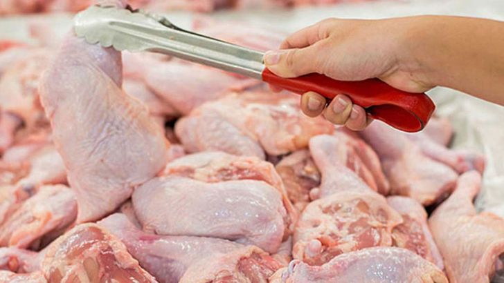 قیمت مرغ با صادرات افزایش نمی یابد