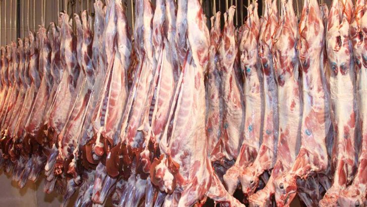 تولید سالانه 3000 تن گوشت قرمز در تنکابن 