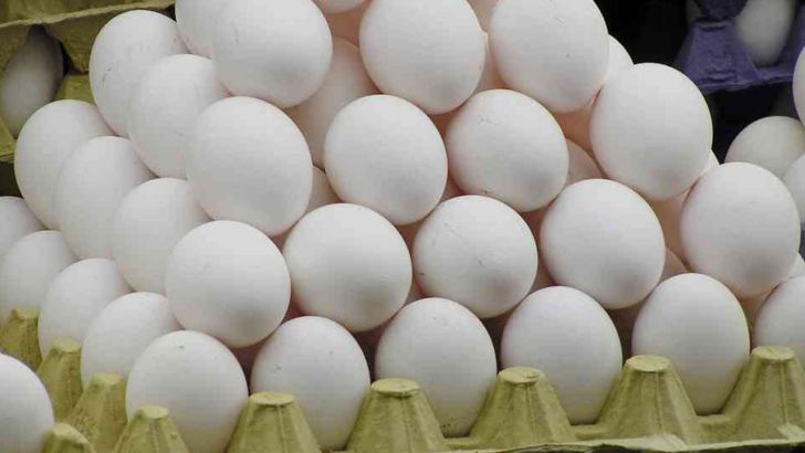  آغاز توزیع تخم مرغ تنظیم بازاری از هفته جاری