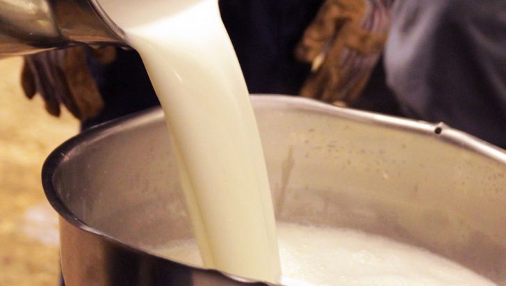 قیمت شیر خام 2 هزار تومان به ازای هر کیلوگرم تصویب شد