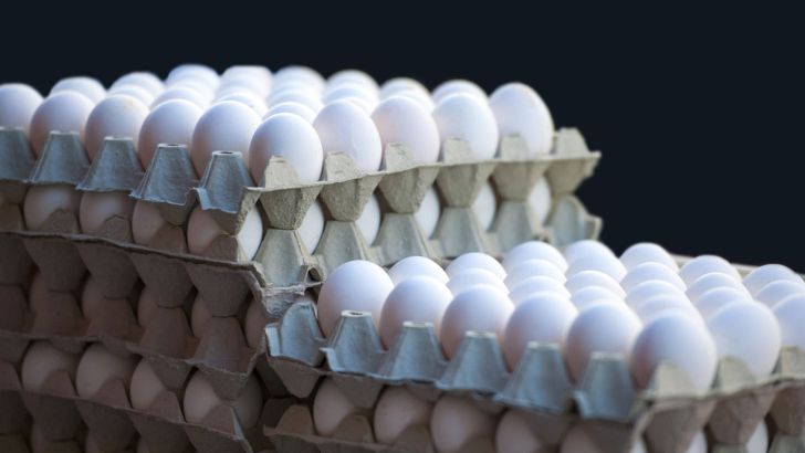 تخم مرغ با نرخ دولتی توزیع می شود