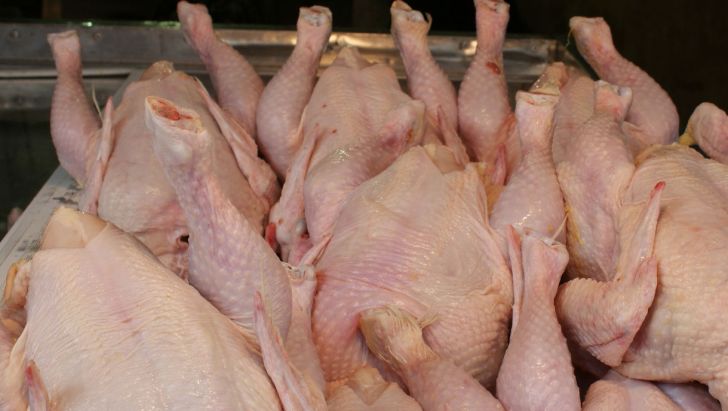 ممنوعیت صادرات مرغ فقط ۴ روز دوام آورد