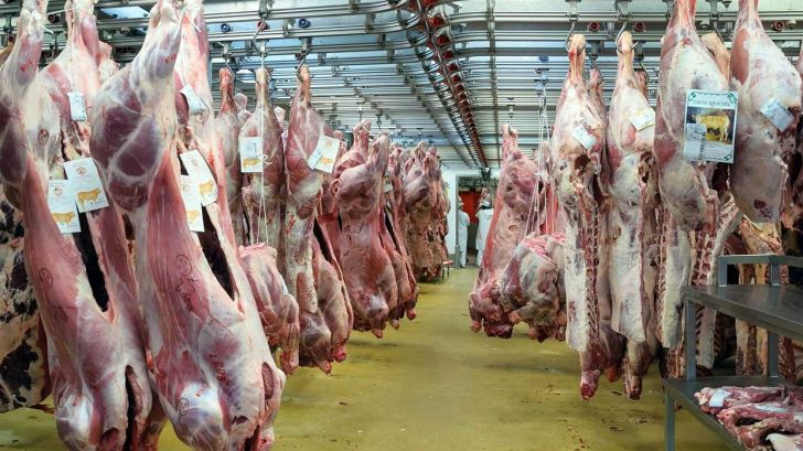 واردات گوشت از استرالیا برای تامین نیاز بازار خراسان رضوی