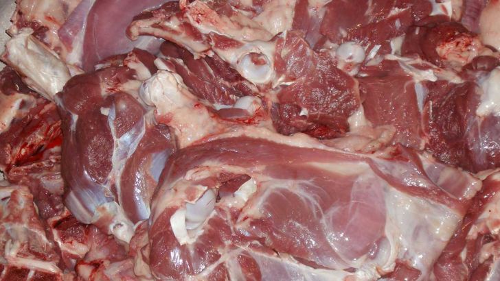توزیع 27 تن گوشت قرمز در ماکو