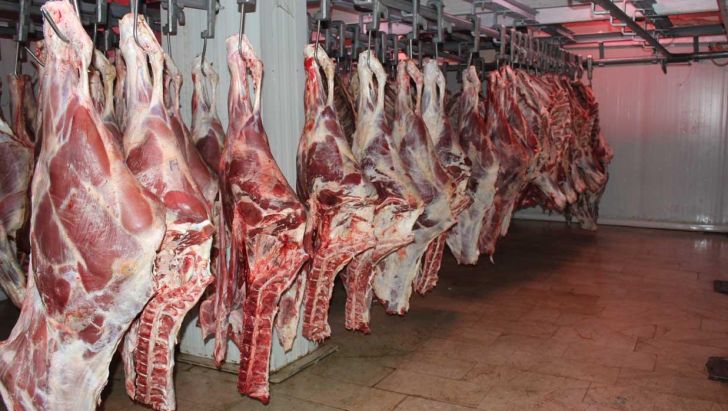 ممنوعیت مصرف گوشت قرمز فاقد لیبل دامپزشکی در قزوین