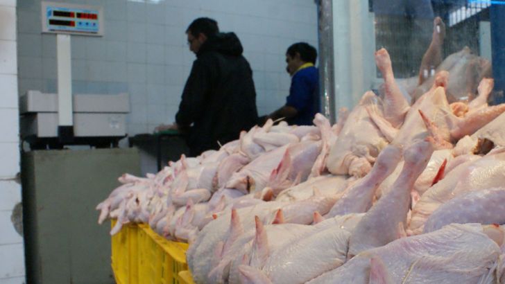 نرخ دستوری مرغ یک مشکل جدی برای تولید است