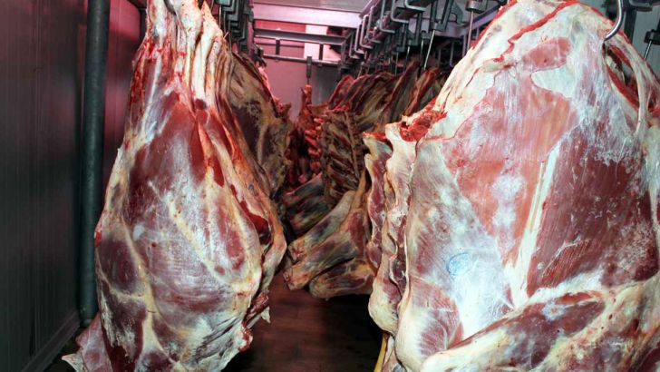 صدور مجوز واردات برای کاهش قیمت گوشت 