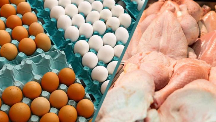 خرید ۷۵ هزارتن مرغ و تخم مرغ برای تنظیم بازار 